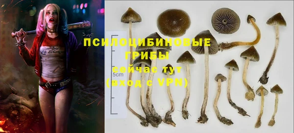 каннабис Абинск