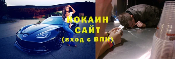 винт Абаза