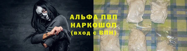 винт Абаза