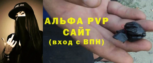стаф Покачи