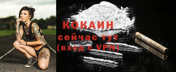 винт Абаза